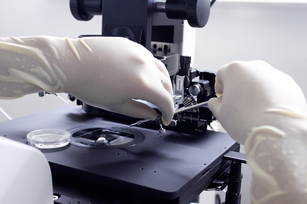 試管嬰兒,試管過程,試管嬰兒步驟